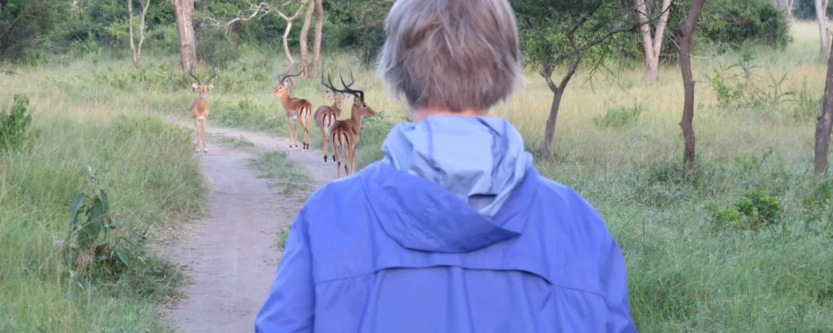 Walking Safaris in Uganda