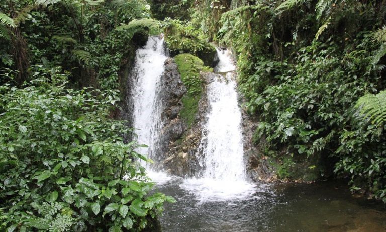Munyanga-Waterfall Trail 