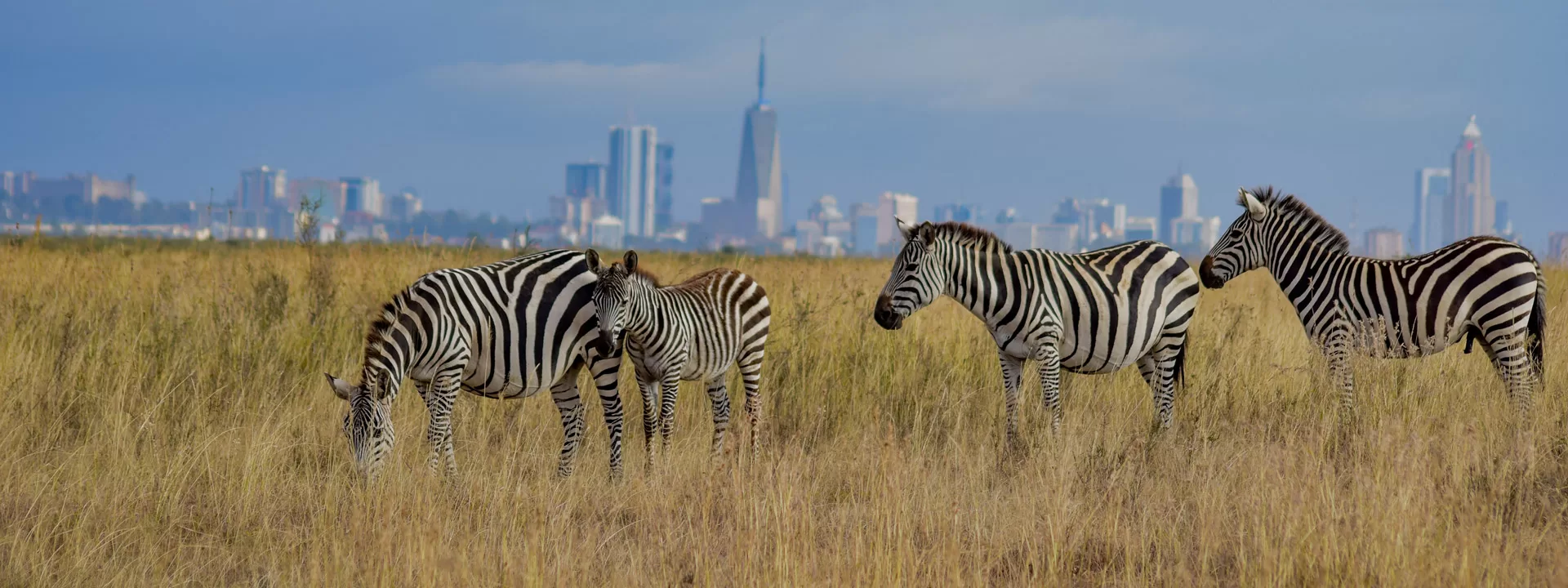 Nairobi National Park