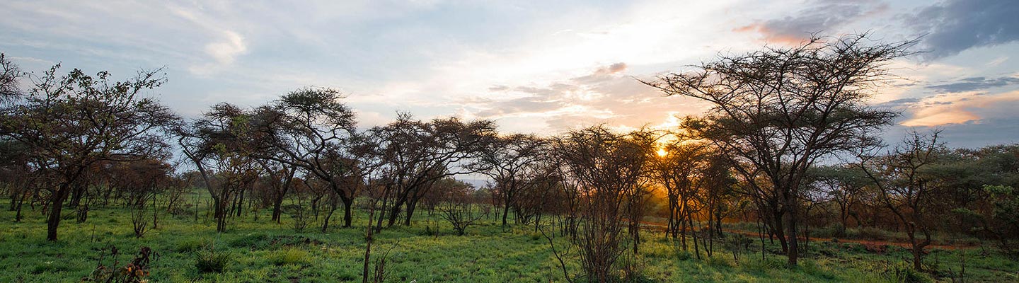 Akagera National Park
