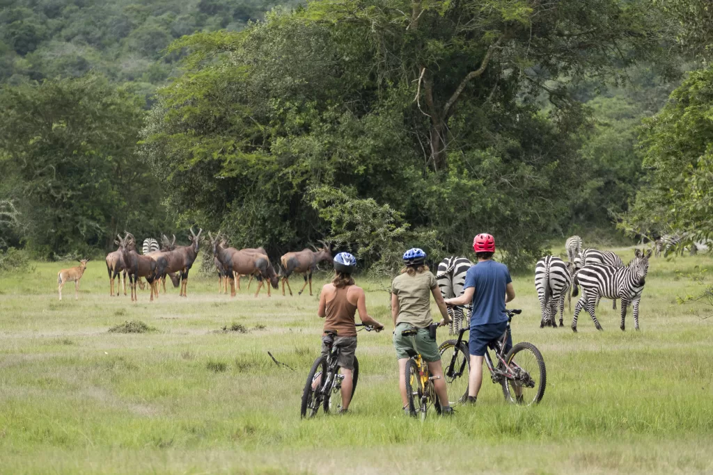 wellness safaris in uganda