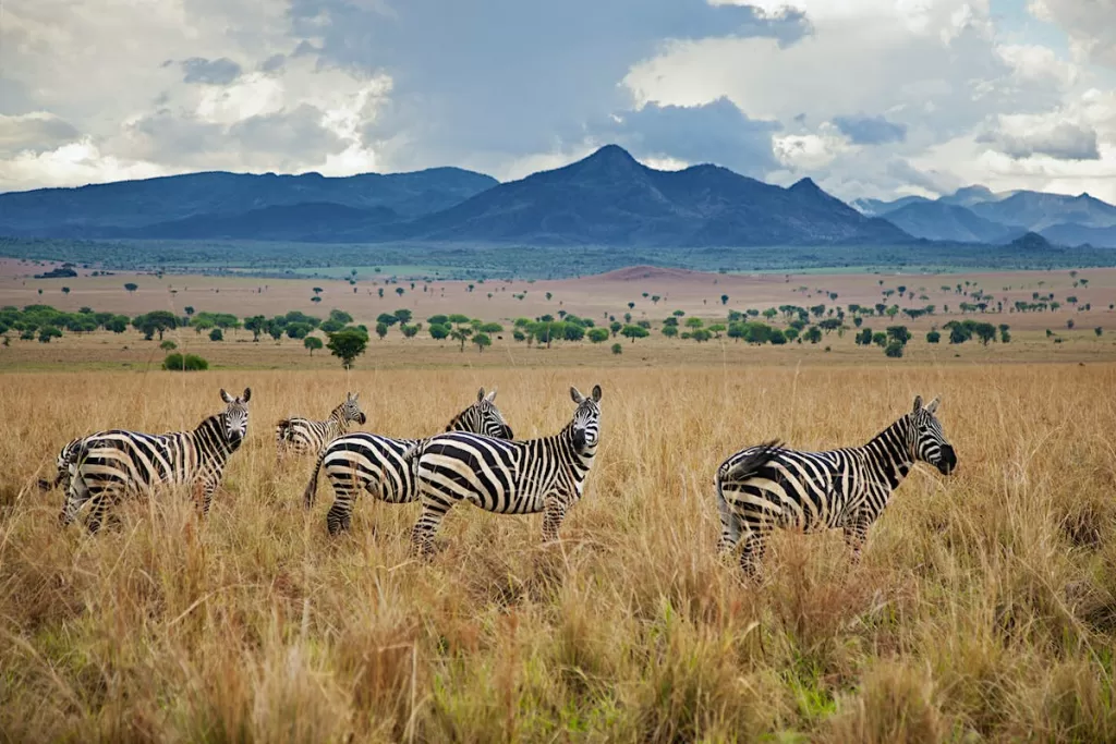 kidepo-valley-national-park