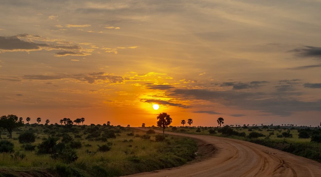 15 Day Ultimate Uganda Culture and Wildlife Safari