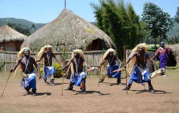 Gorilla Guardian Village