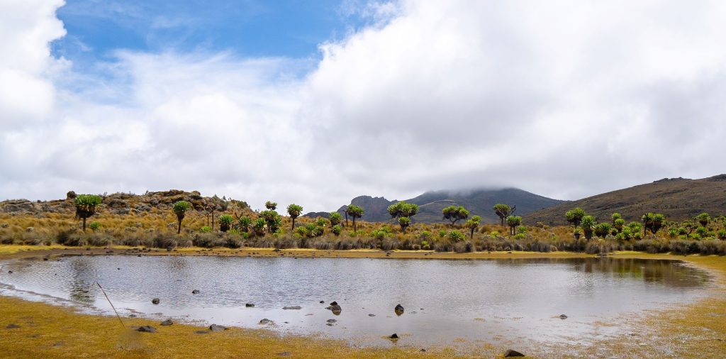 Mount Elgon and Sipi Falls