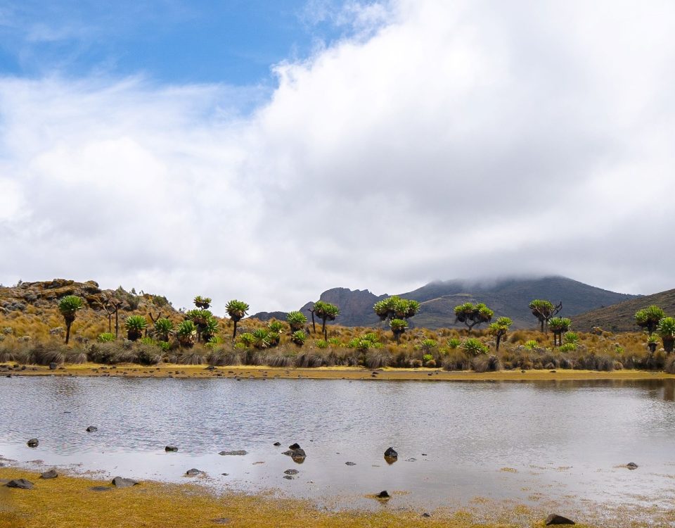 Mount Elgon and Sipi Falls