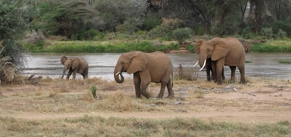 11 Day Kenya Adventure Safari