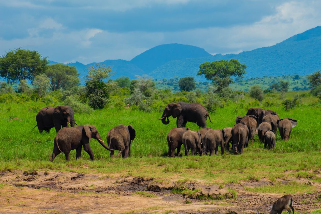 Uganda Adventure and Cultural Discovery Safari