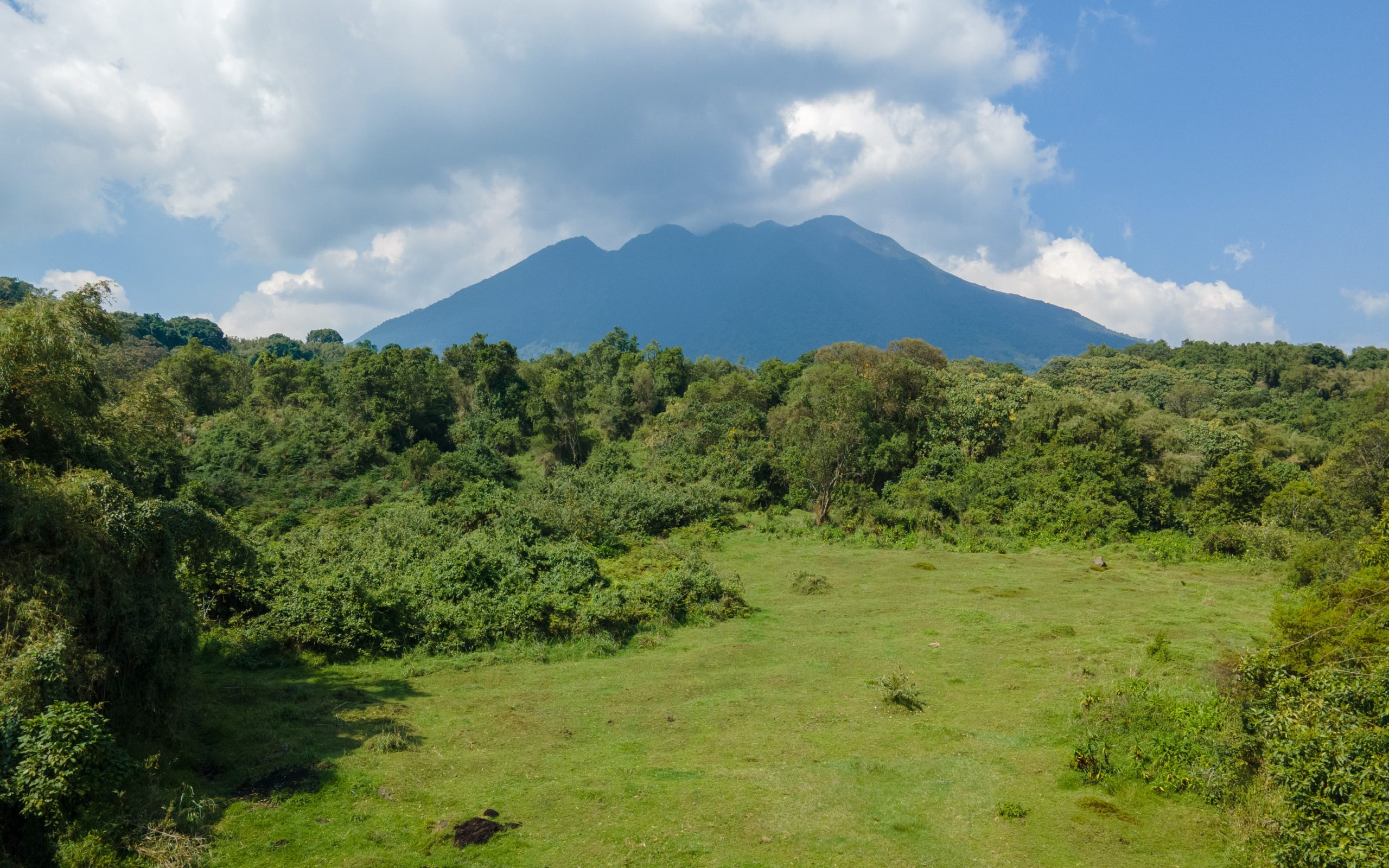 Mgahinga Views