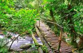 11 Day African Jungle Tour