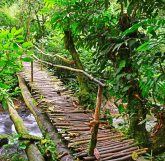 11 Day African Jungle Tour