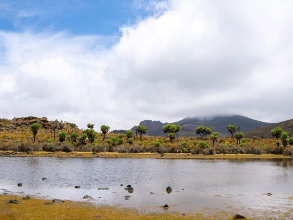 Mount Elgon and Sipi Falls